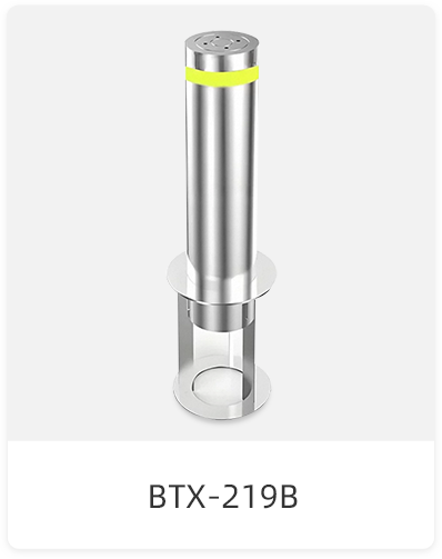 BTX-219B
